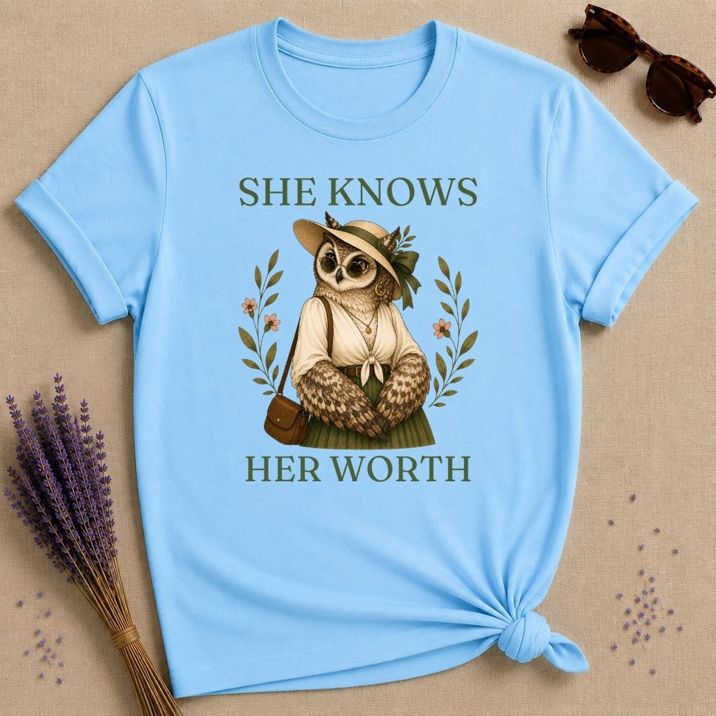 Owl She Knows Her Worth T-Shirt - Sky